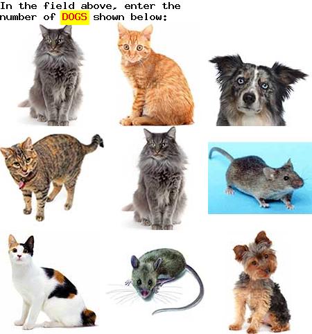 captcha to verify human, not robot